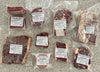 Heal your Family with Meals Bundle